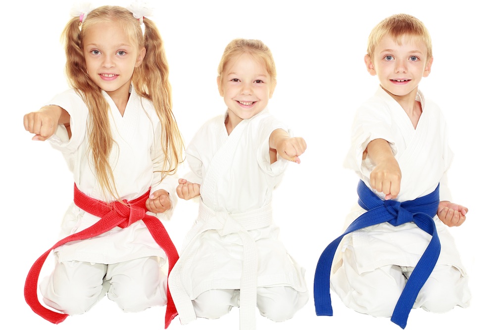 Kids Martial Arts Racine