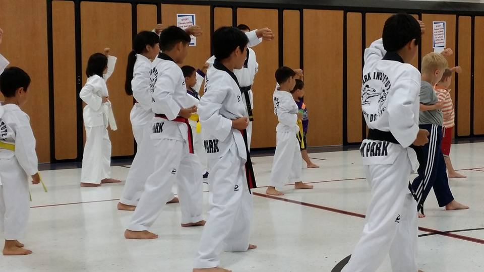 park institute of taekwondo kids karate rochester