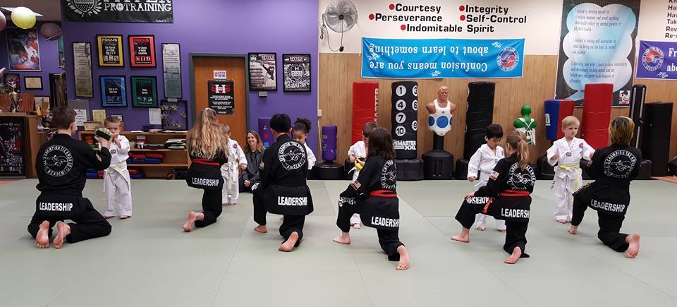 lees champion tkd Kids Martial Arts shoreview