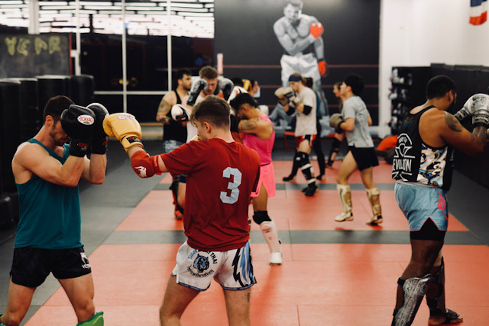 Ortal Muay Thai Fight Shorts For Training