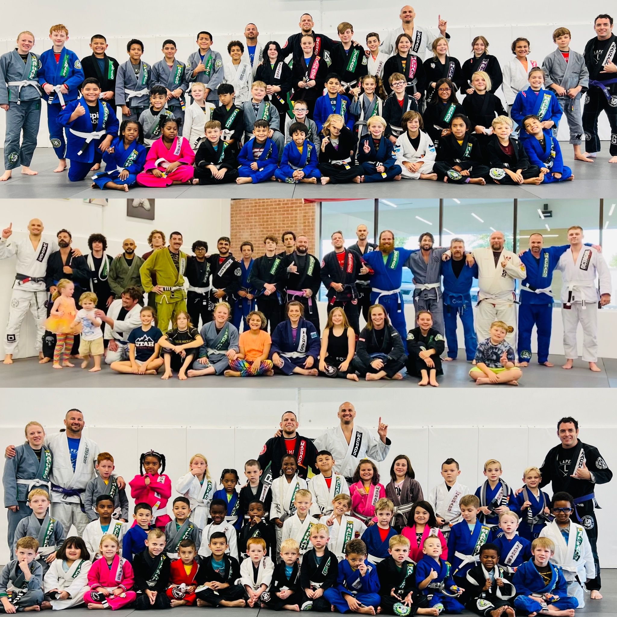 Road to Blue Belt, Travis Lutter Brazilian Jiu-Jitsu Blog