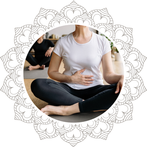 Lotus Yoga Studio and Stays