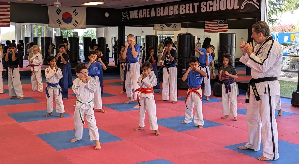 kids taekwondo class near flower mound