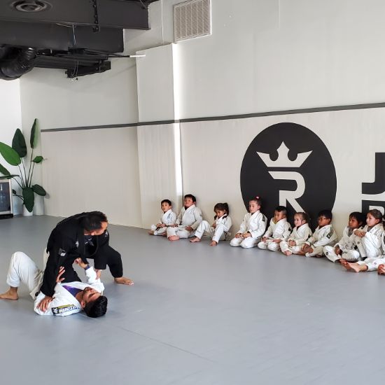 Kids BJJ near Katy