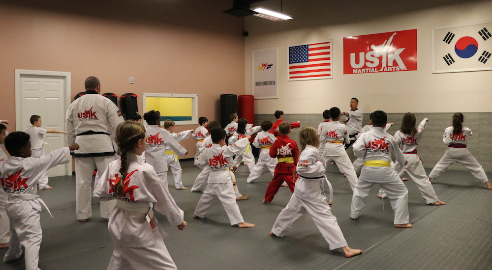 Kids Martial Arts near Ballantyne