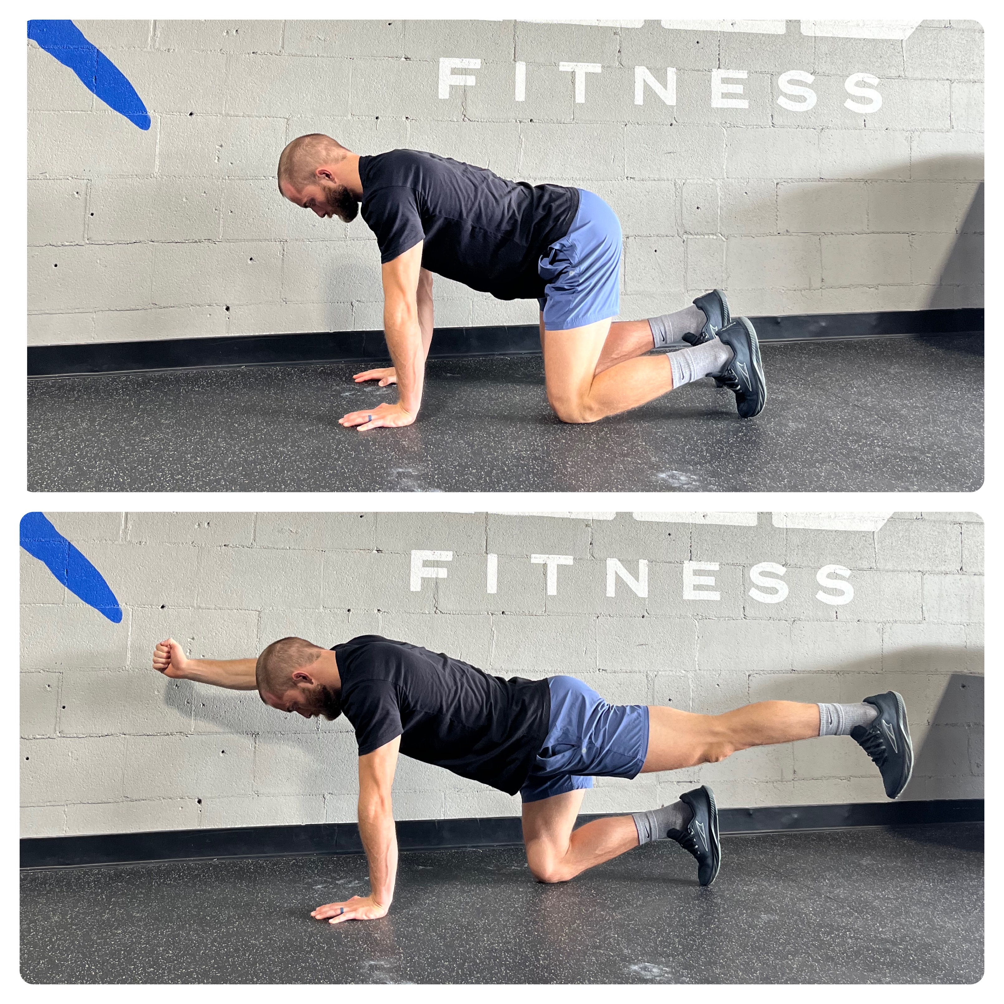 Low Back Pain 4 7105%2Fbird dog 280034