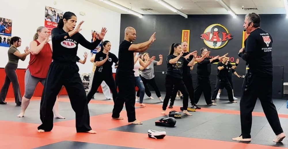 adult martial arts class in Gilbert