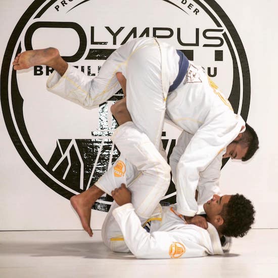 Brazilian Jiu Jitsu near Lutz