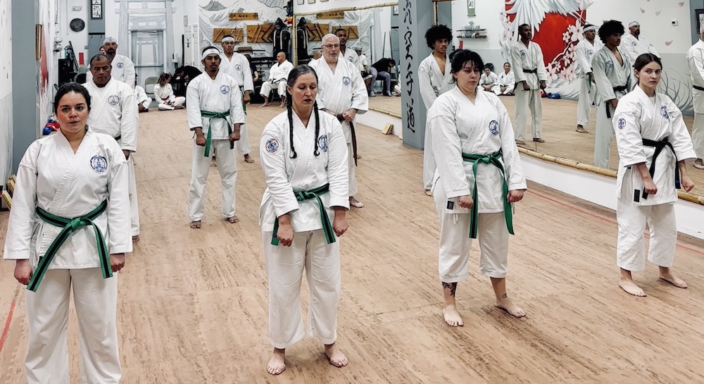 adults in a karate class in orlando