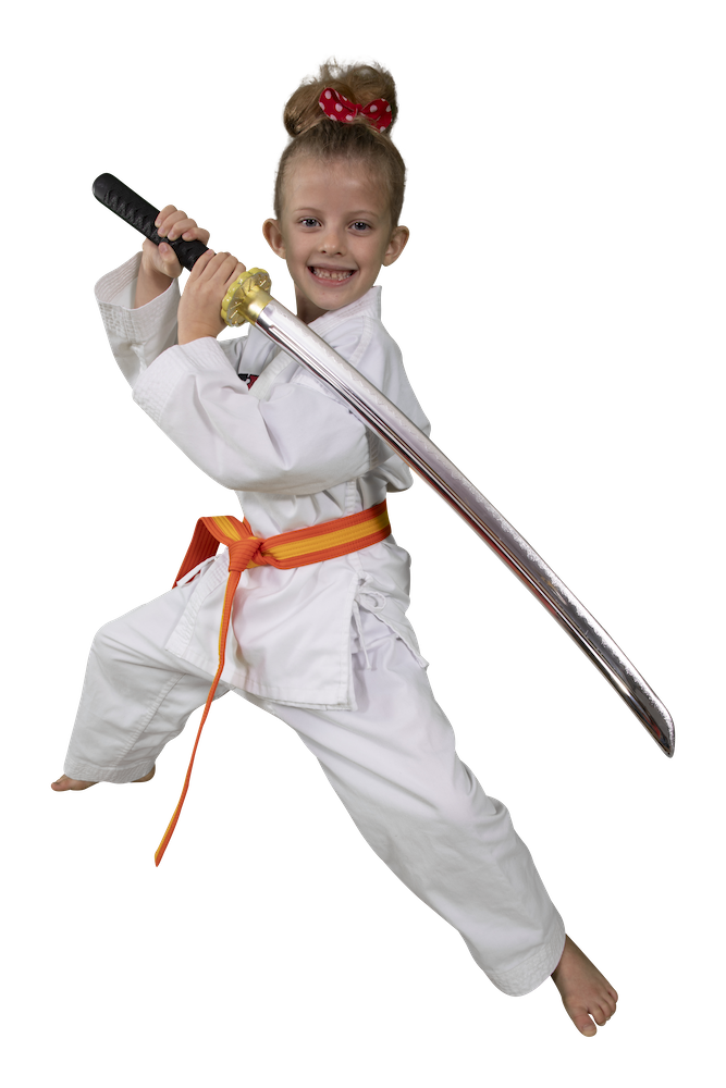 Kids Martial Arts near me
