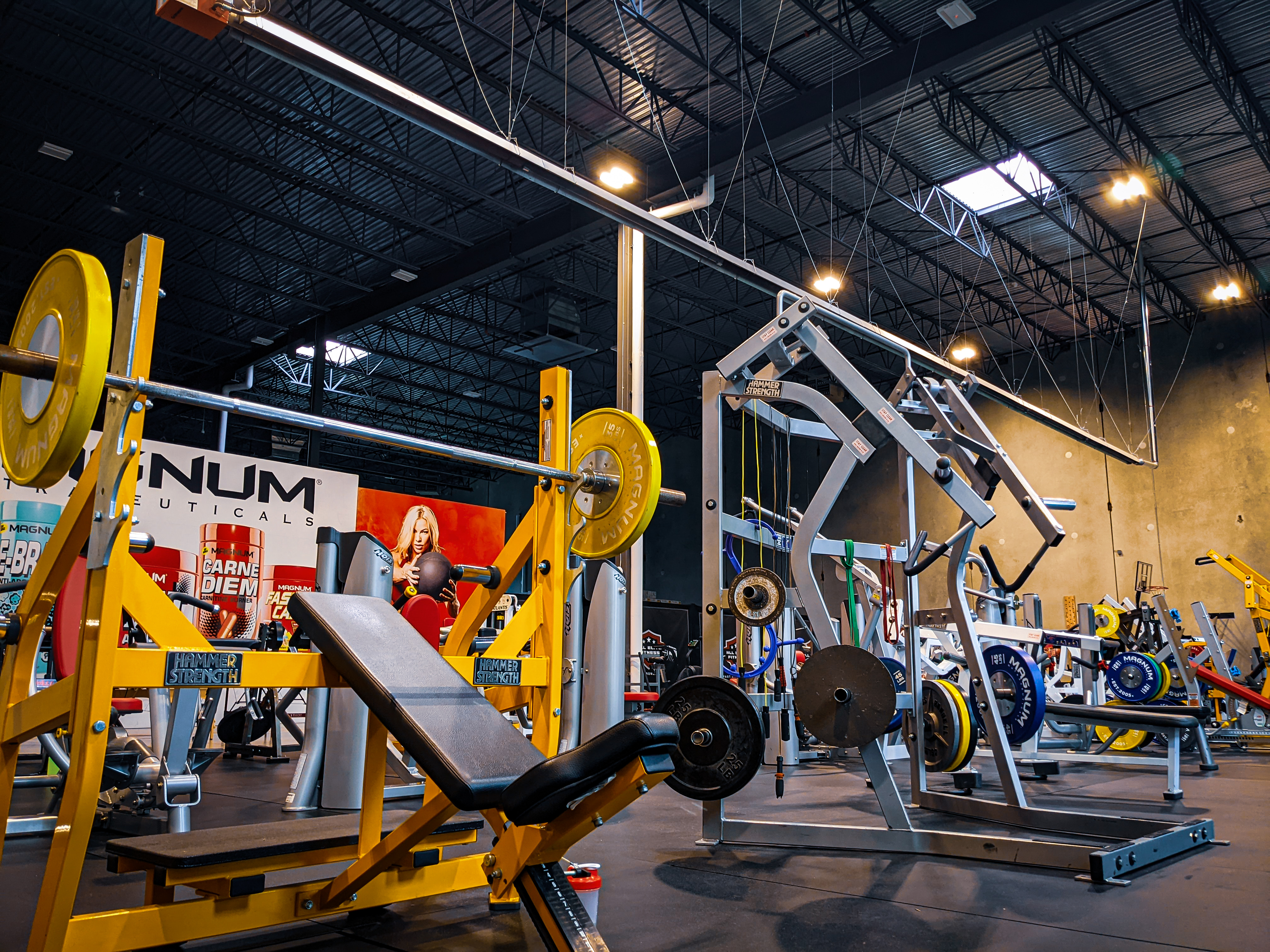 Functional Fitness Training in Surrey