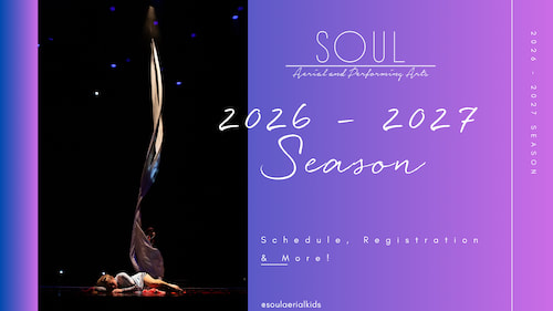 Kids Aerial Classes near Richmond
