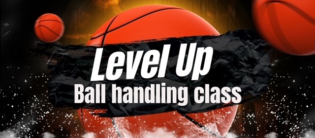 basketball handling skills clinic