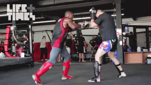 How Krav Maga Mahopac Can Help You Crush Your goals, GIF style!!