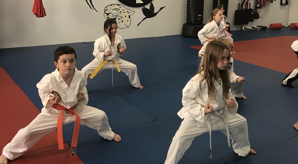 Windham Kids Karate Karate International Of Windham Windham, New