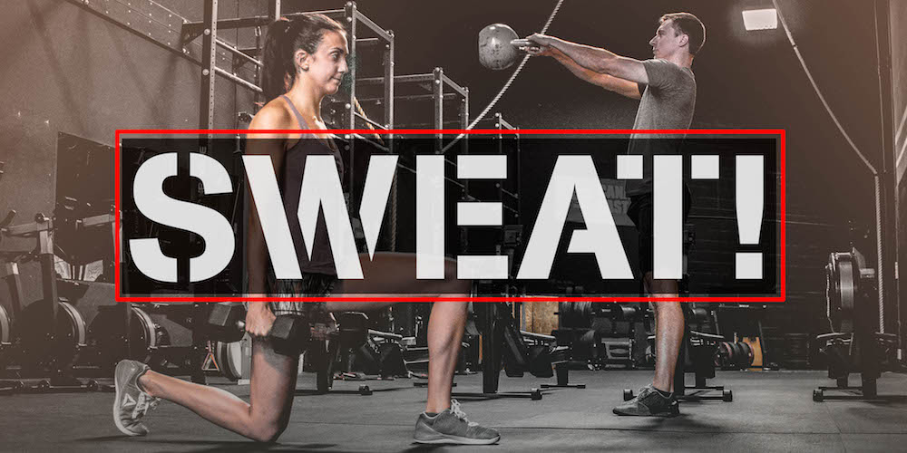 Which sweat program is best for weight loss
