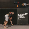 Kids Jiu Jitsu and BJJ Near Langley and Surrey