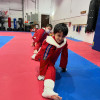 Kids Martial Arts near Chicago