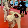 Kids Martial Arts near Tallahassee