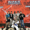 Kids Martial Arts near Rochester