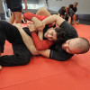 Kids Martial Arts near Rochester