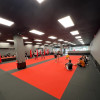 Kids Martial Arts near Rochester