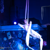 Youth Aerial Classes near Frederick