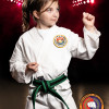 Kids Martial Arts near Mount Dora