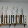 Kids Martial Arts near Mooresville