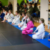  Jiu Jitsu near Castle Rock