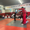 Kids Martial Arts near South Bronx