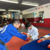 Kids Martial Arts near South Bronx