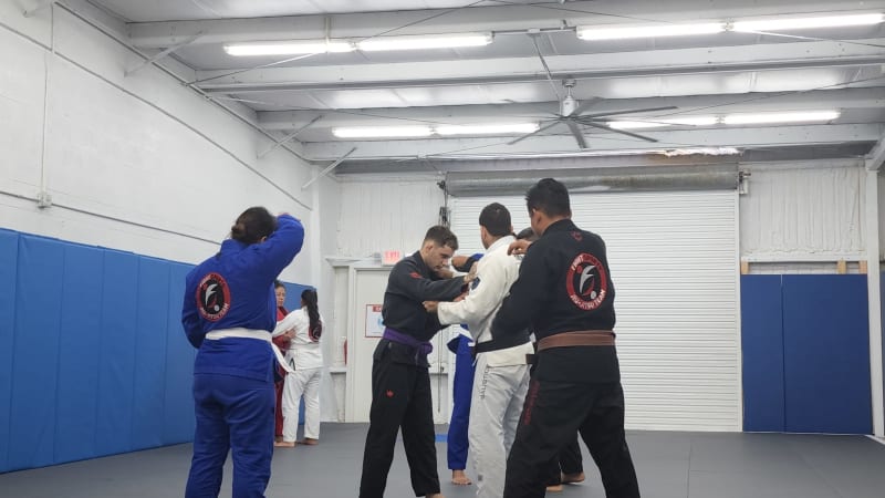 Strength, Agility, and Mental Toughness: The Triple Threat of BJJ