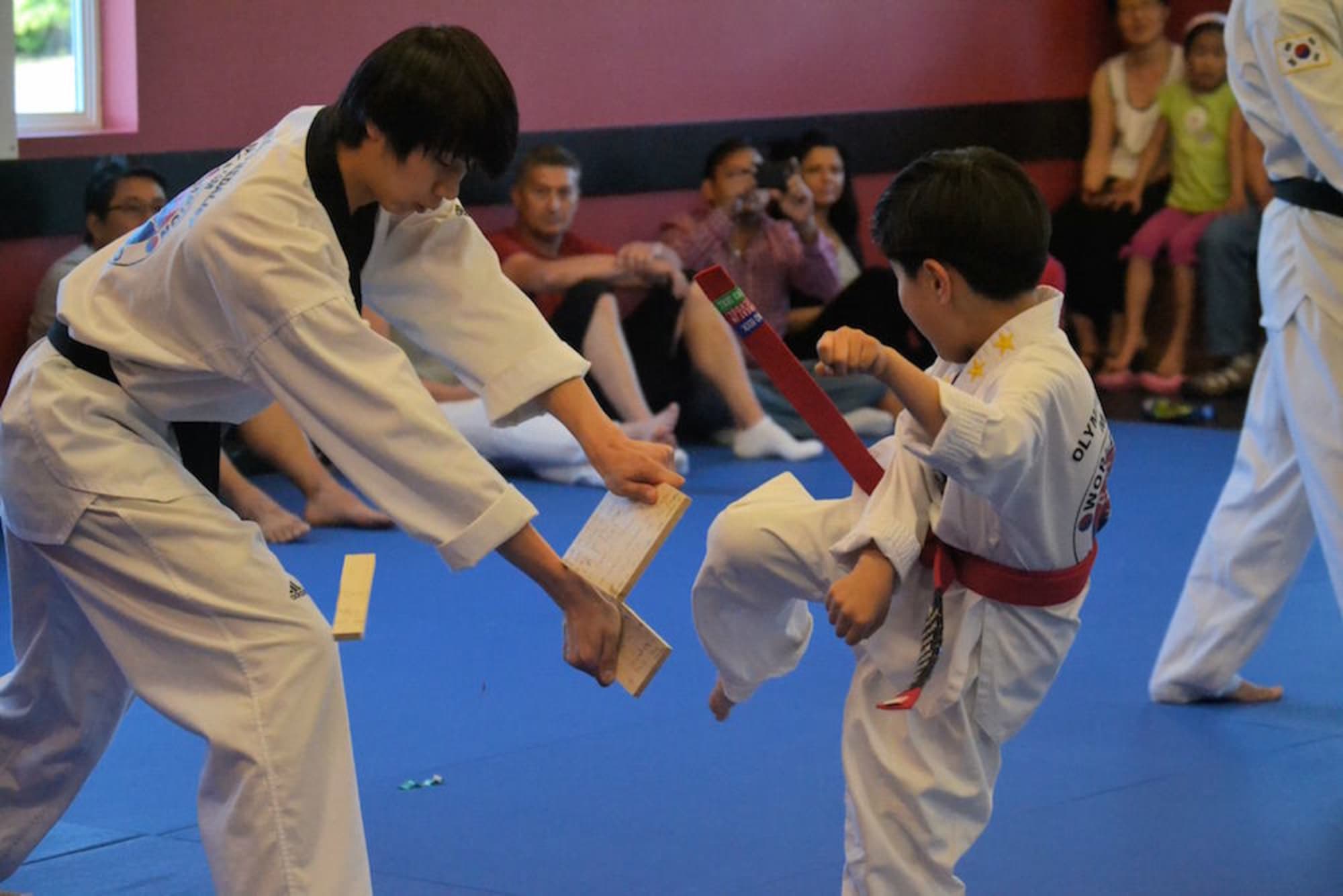 World Champion Taekwondo