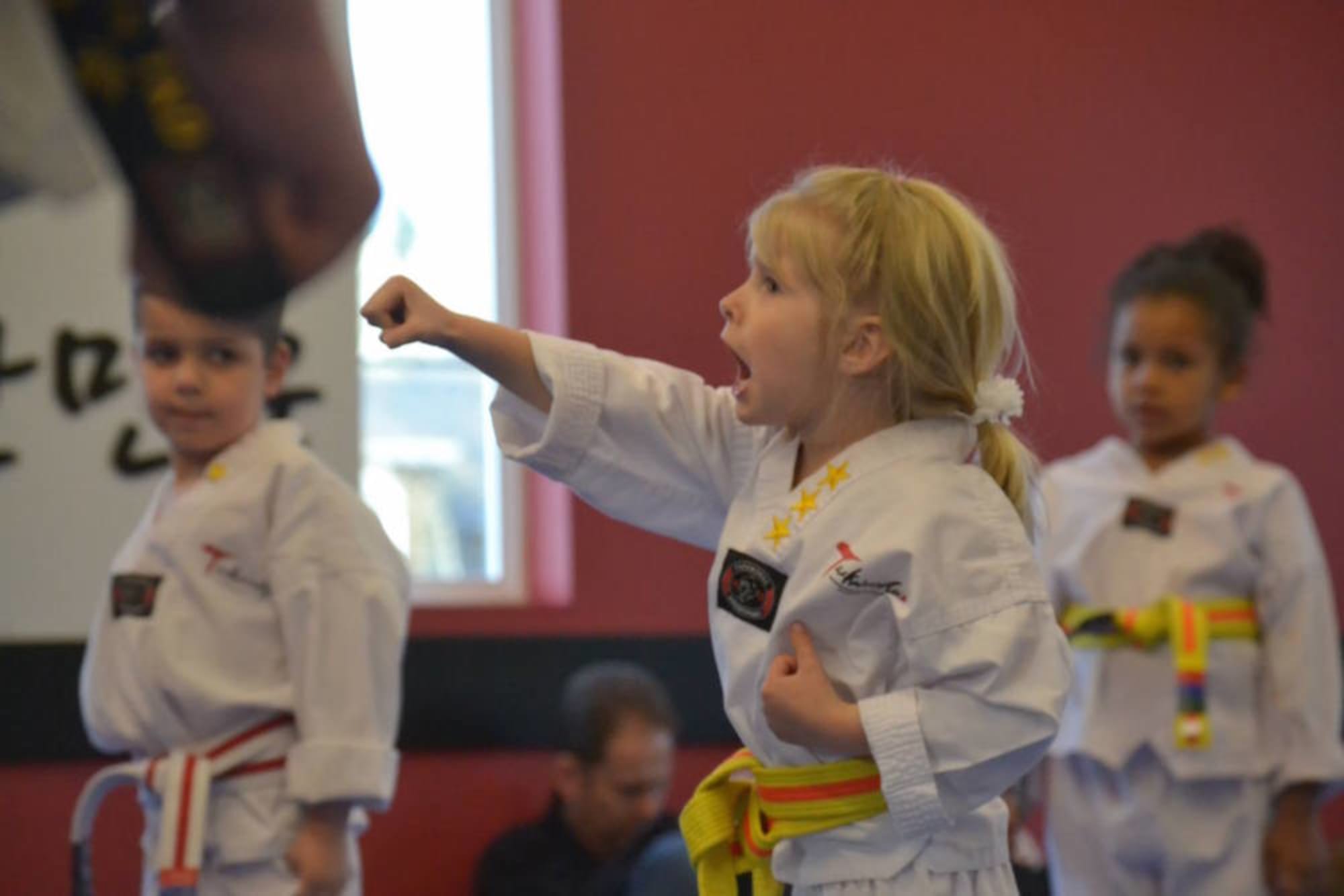 World Champion Taekwondo