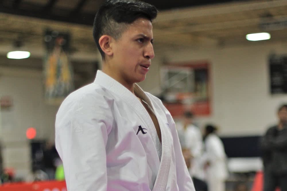 Kids Martial Arts near Elmont