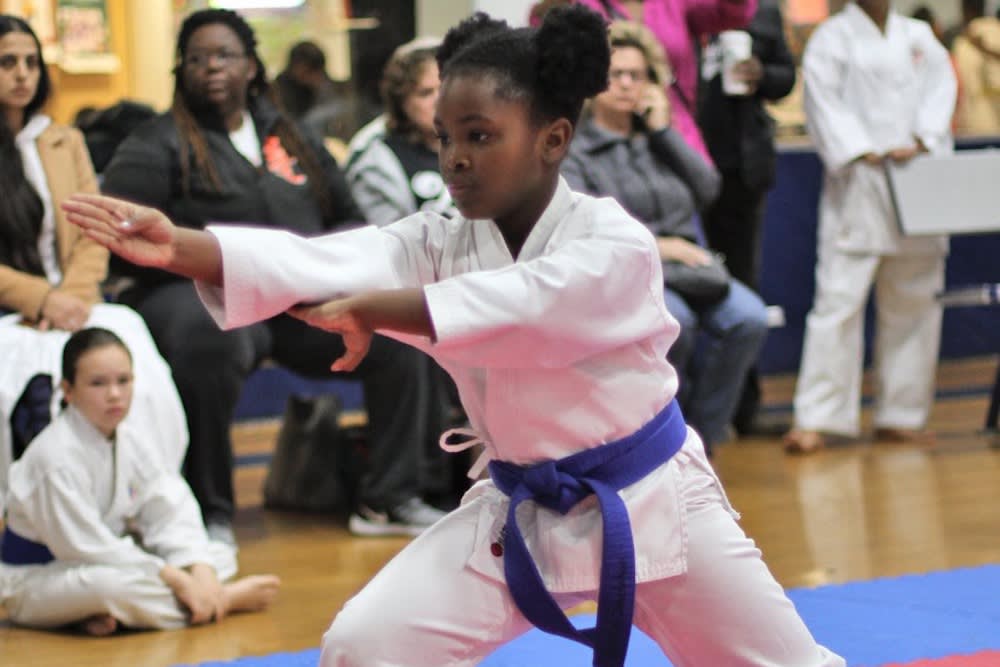 Kids Martial Arts near Elmont
