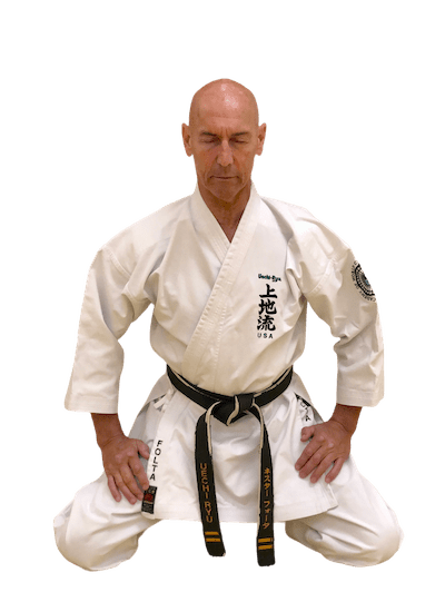 Little Ninjas near Chantilly