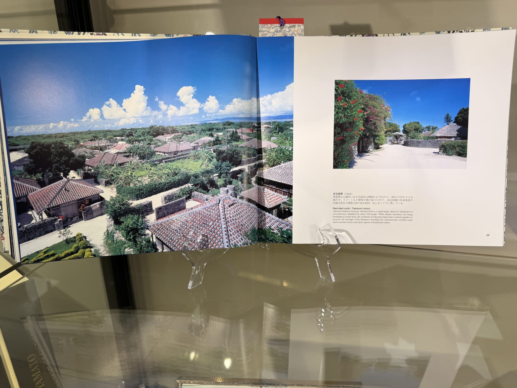 Kids Martial Arts near Chantilly