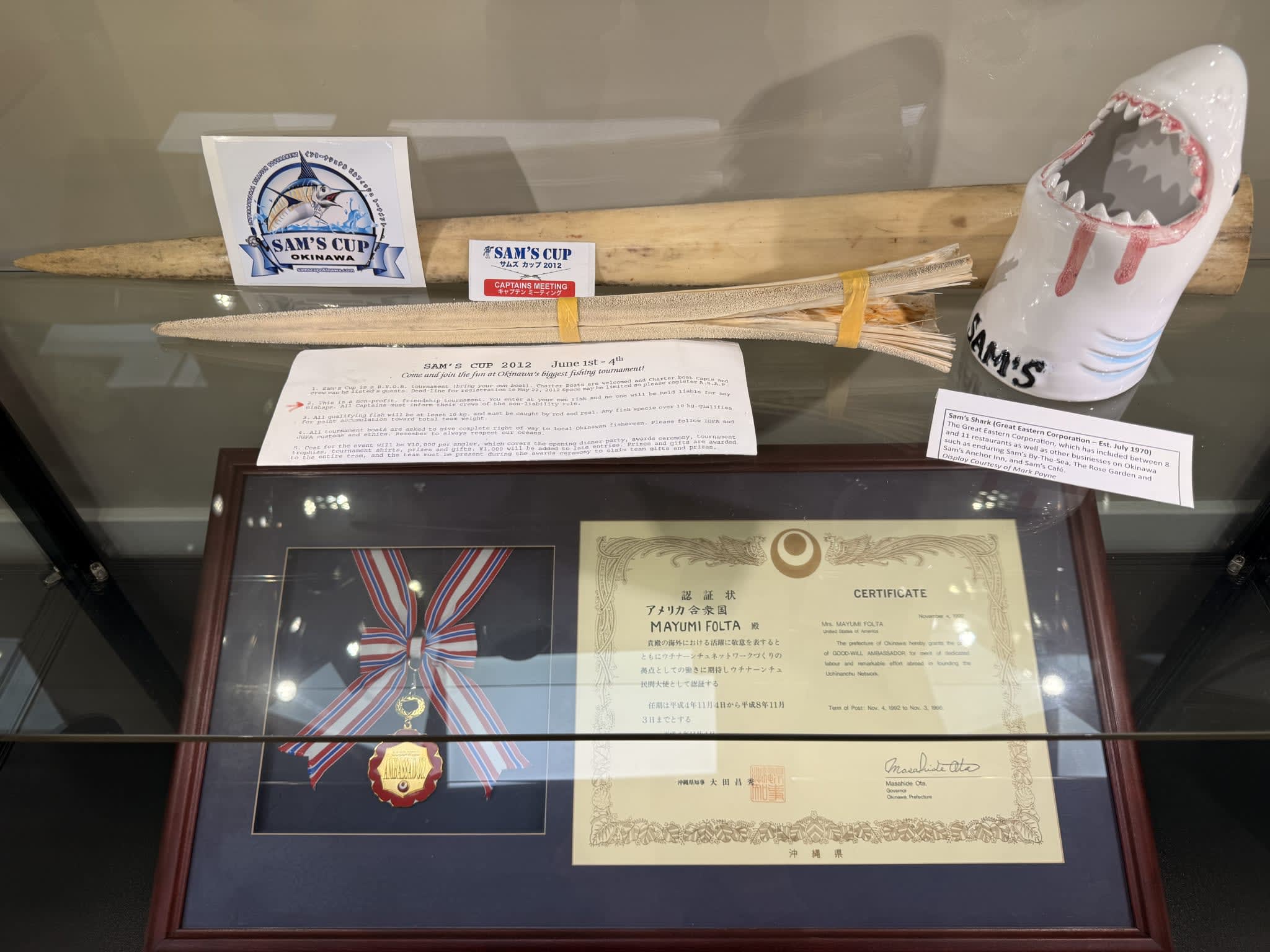 Kids Martial Arts near Chantilly