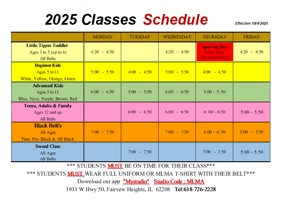 Kids Martial Arts near Fairview Heights