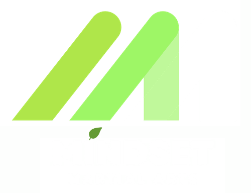 Kids Martial Arts near Hayward