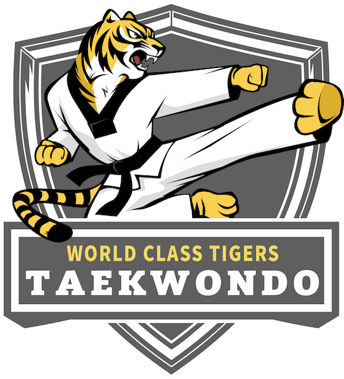 Kids Martial Arts near San Antonio