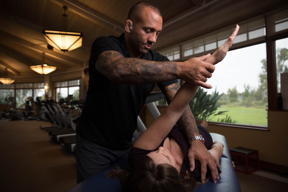 Theorem Pain-to-Performance Assessment