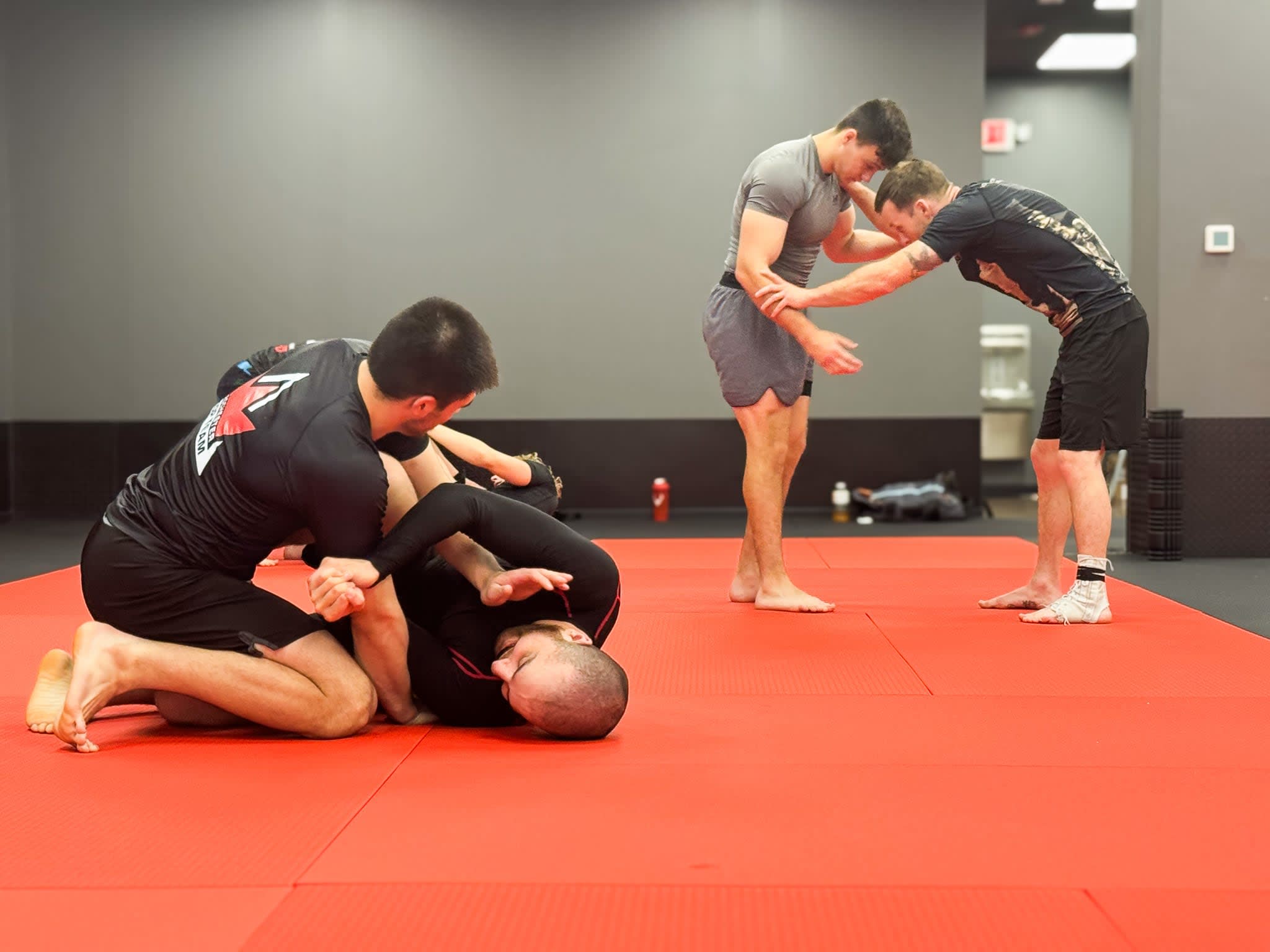 No-Gi near Rochester