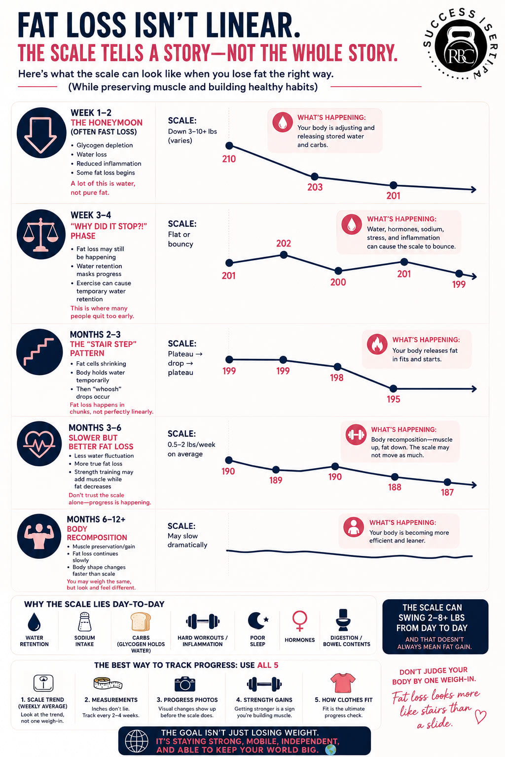 Why the Scale Lies During Fat Loss (And What's Actually Happening) | Results Based Coaching