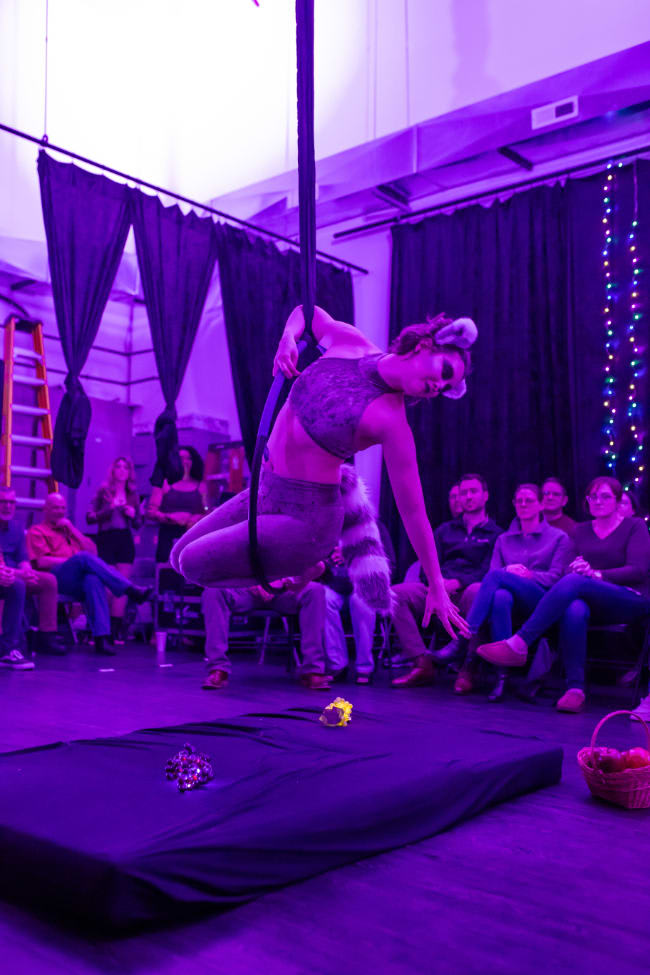 Youth Aerial Classes near Frederick