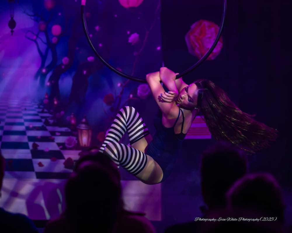 Youth Aerial Classes near Frederick