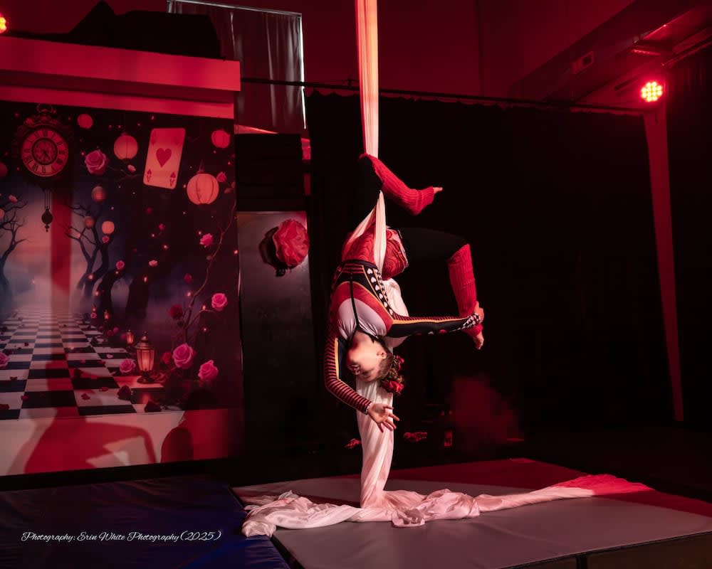 Youth Aerial Classes near Frederick