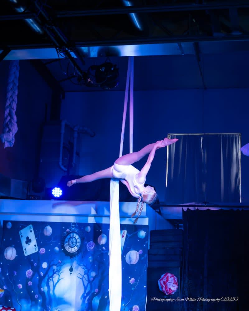 Youth Aerial Classes near Frederick